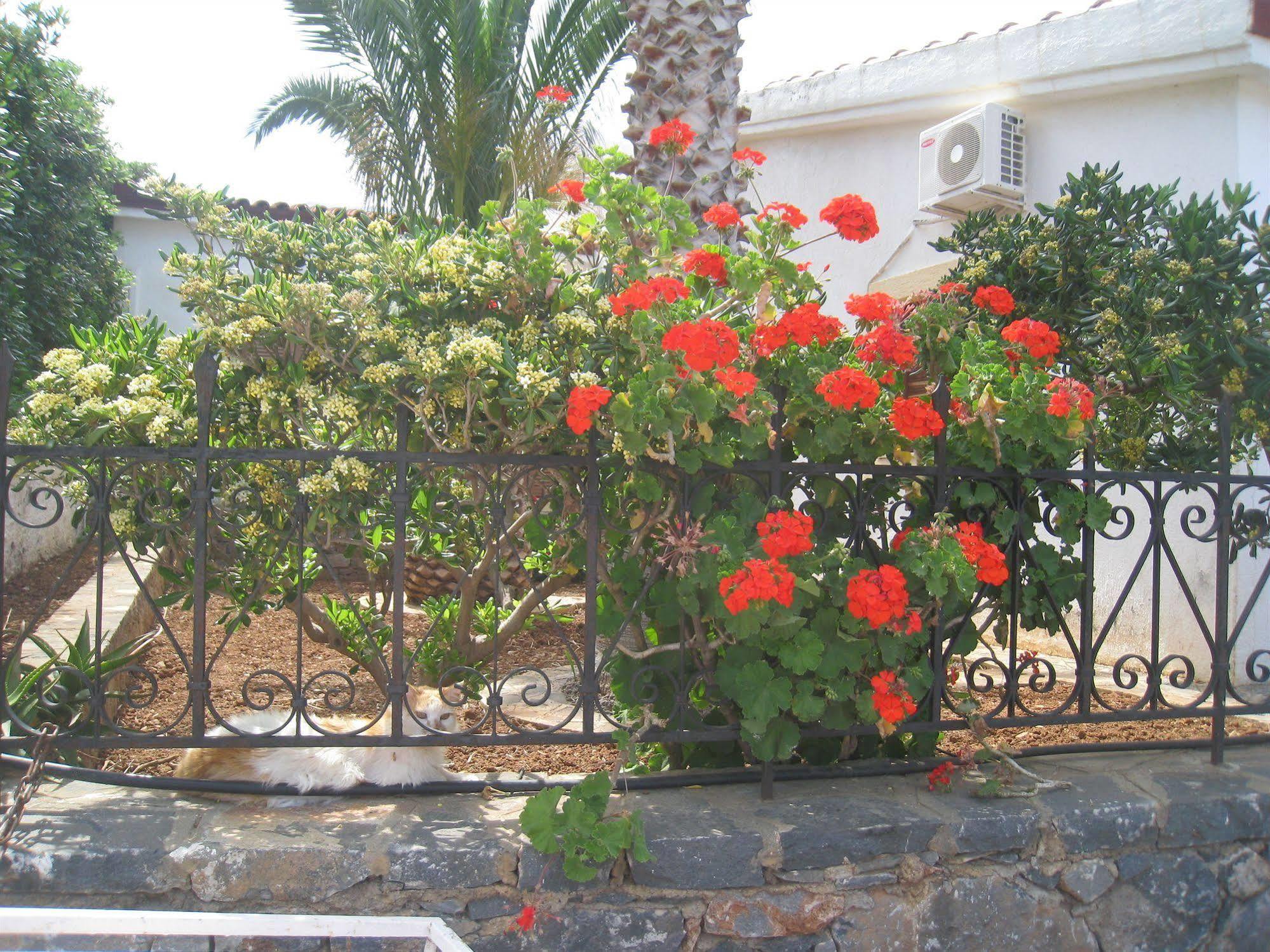 Athina Villas Ελούντα Εξωτερικό φωτογραφία